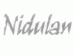 NIDULAN