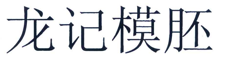 龙记模胚