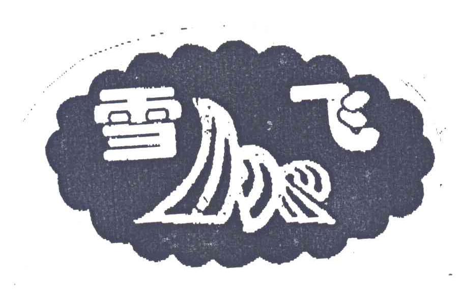 雪飞