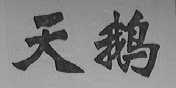 天鹅