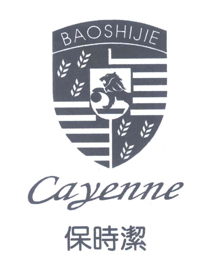 保时洁;CAYENNE