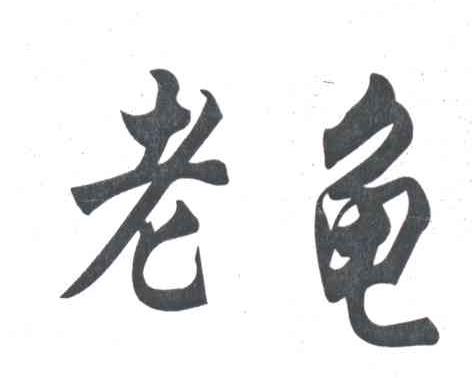 老龟