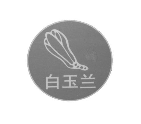 白玉兰