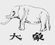 大象