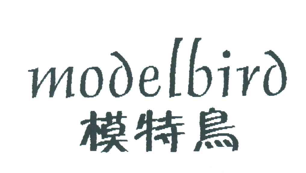模特鸟;MODELBIRD
