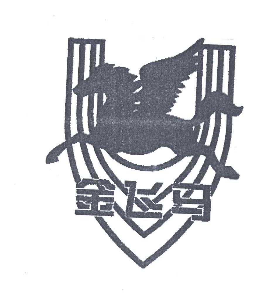 金飞马