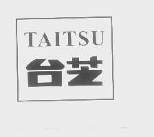 台芝   TAITSU