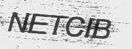 NETCIB