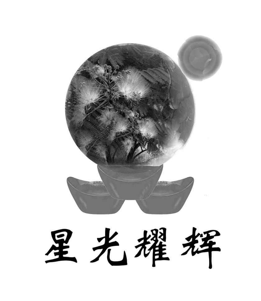 星光耀辉