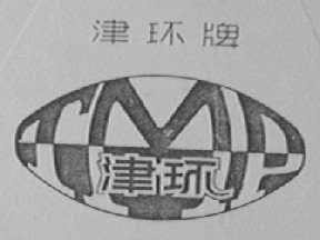 津环