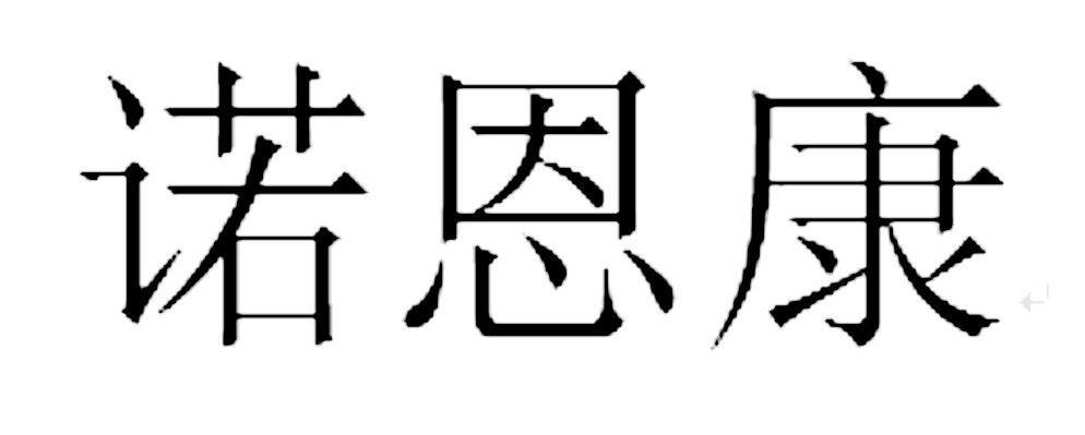 诺恩康