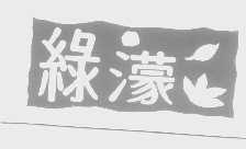 绿濛