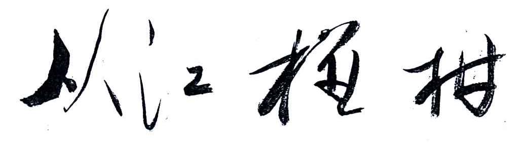 从江椪柑