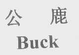 公鹿   BUCK