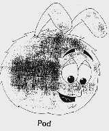 POD
