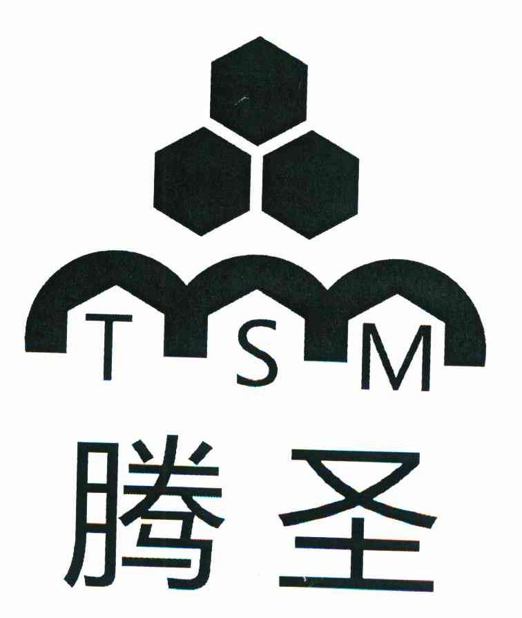 腾圣 TSM