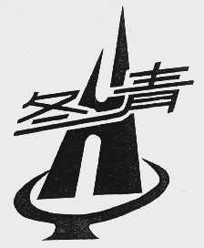 冬青