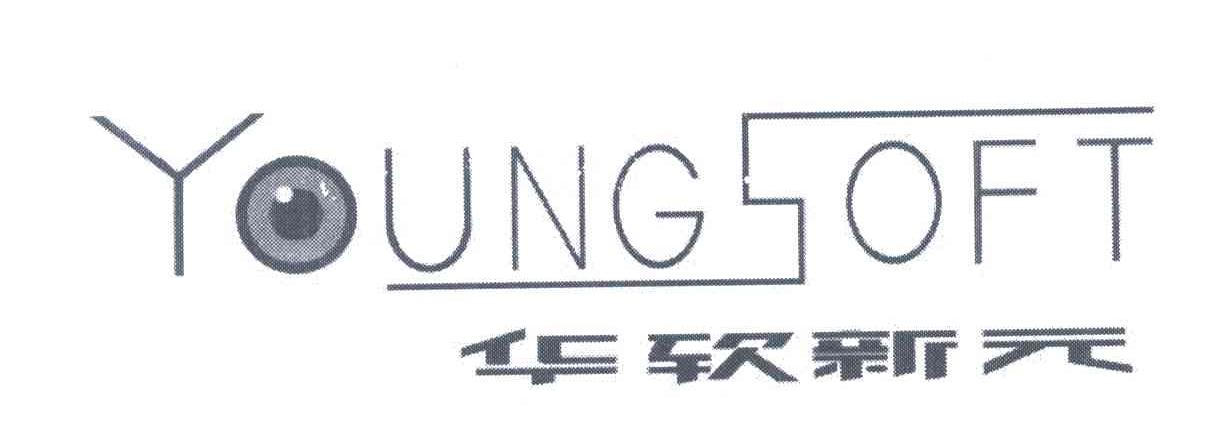 华软新元;YOUNG