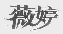 薇婷