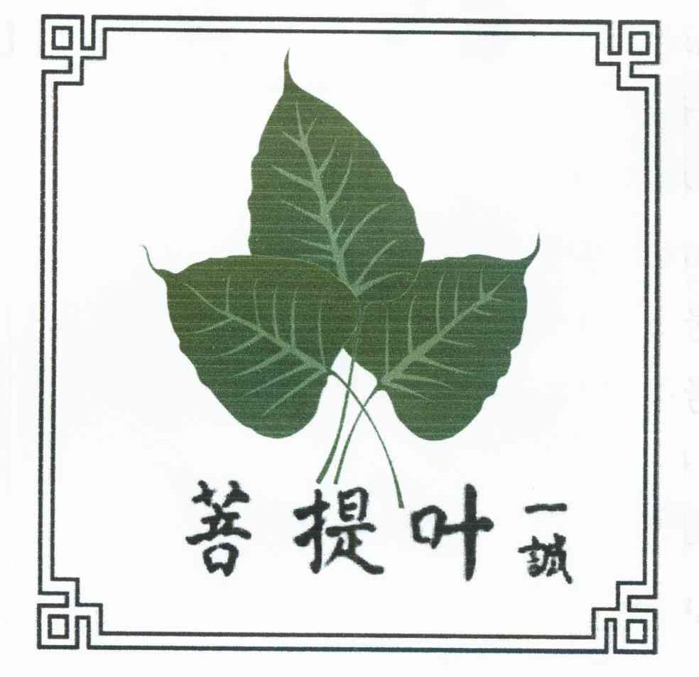 菩提叶一诚