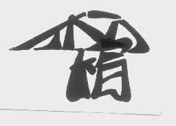 松柏