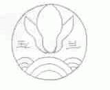 玉兰