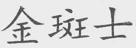 金斑士