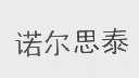 诺尔思泰