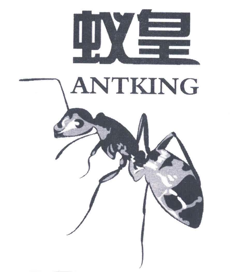 蚁皇;ANTKING