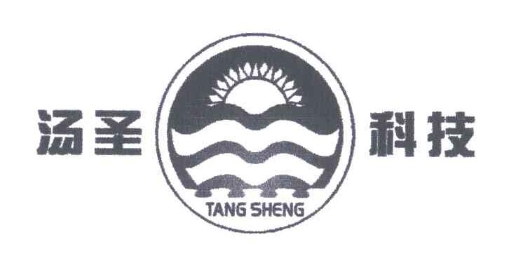 汤圣科技