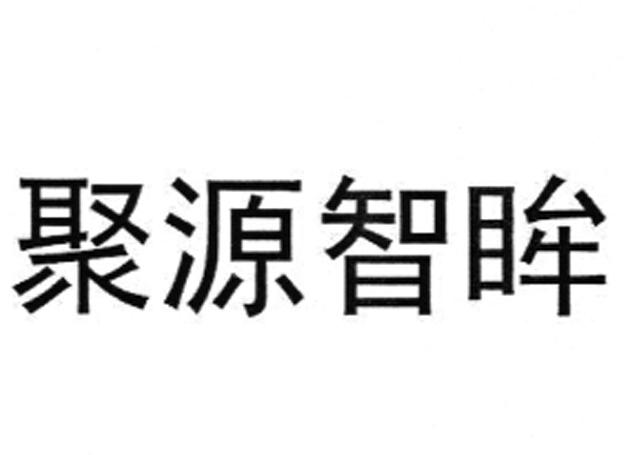 聚源智眸