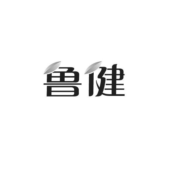 鲁健