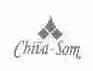 CHIVA-SOM