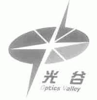 光谷 ;OPTICS VALLEY