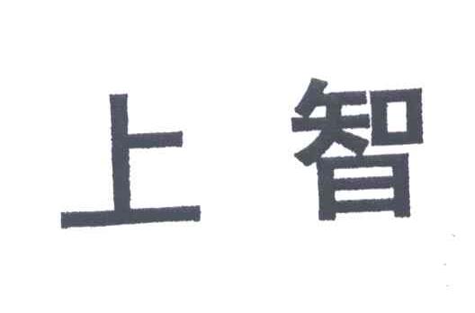 上智
