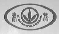 春花