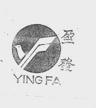 盈发