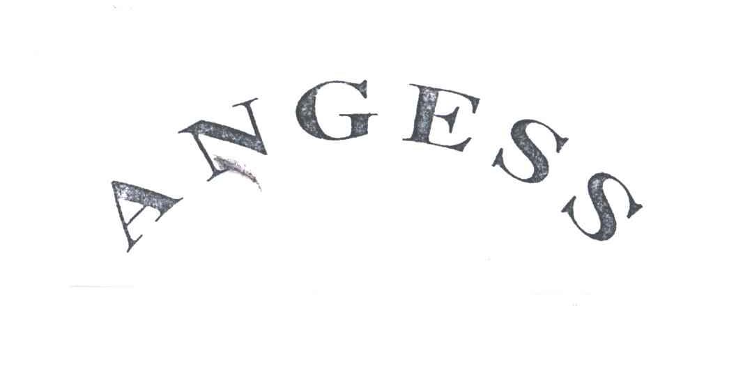 ANGESS
