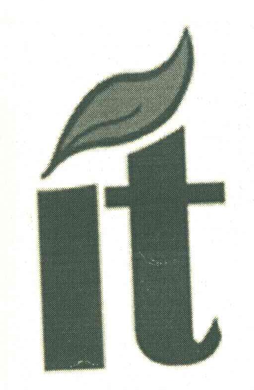 IT