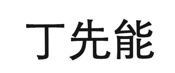 丁先能