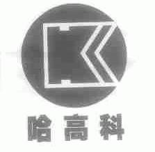 哈高科