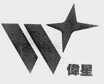 伟星
