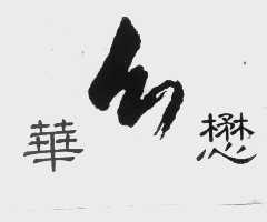 华懋