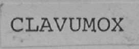CLAVUMOX