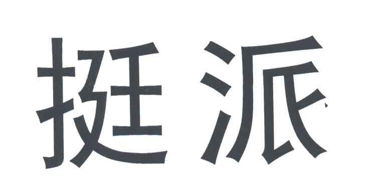 挺派