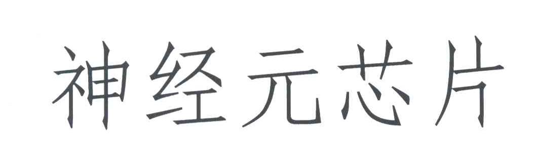 神经元芯片