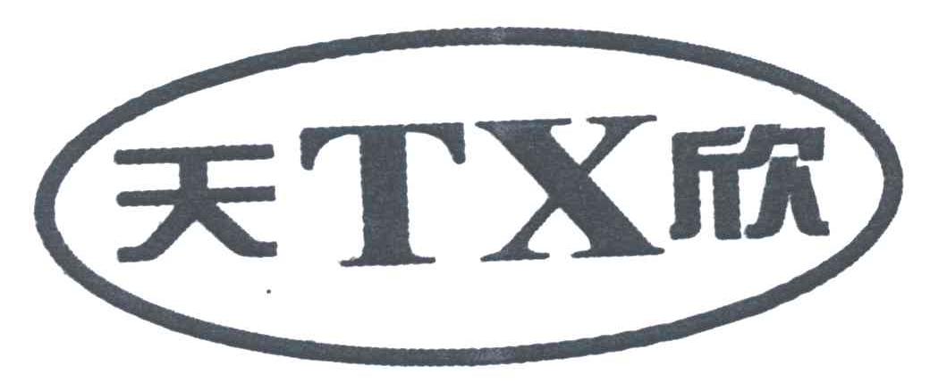 天欣TX