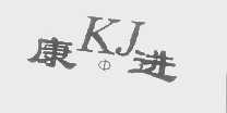 康进
