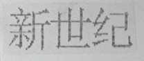 新世纪