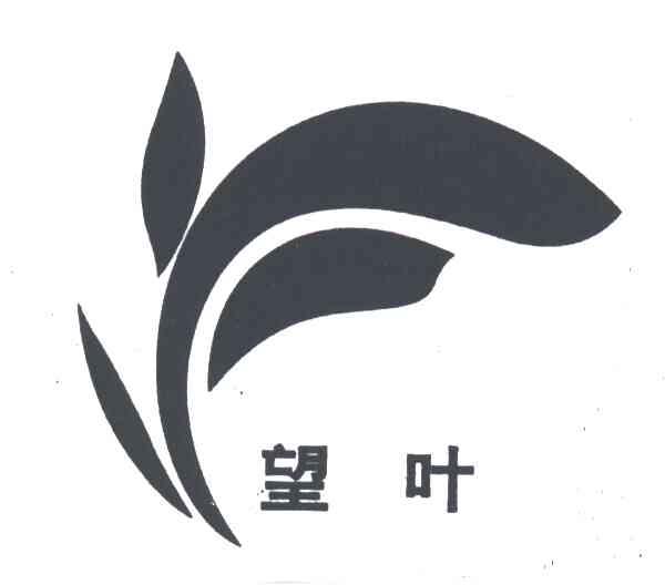 望叶